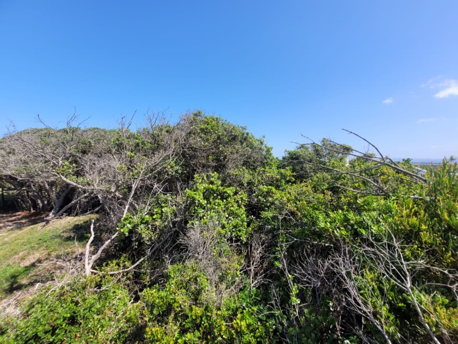 0 Bedroom Property for Sale in Paradise Beach Eastern Cape